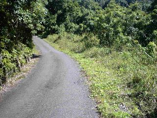 Culebras Alto  Puerto Rico
